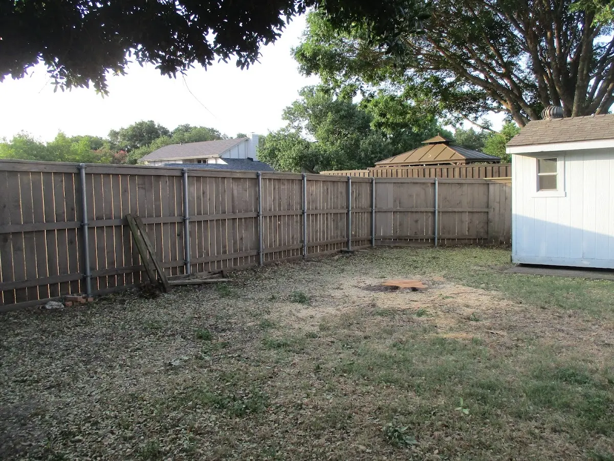 Cleared yard after professional tree removal in Fyffe