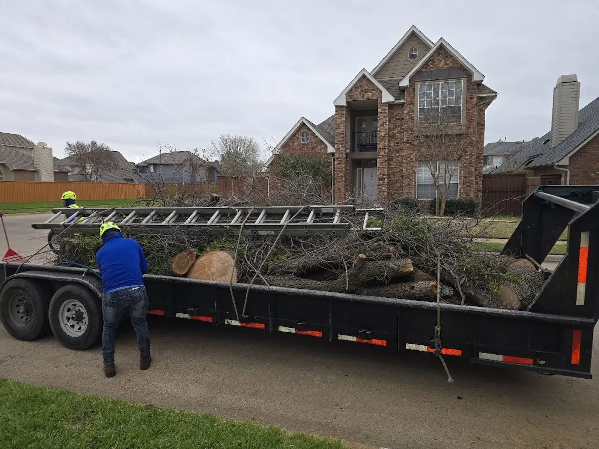Expert Lot Clearing with proper safety equipment in Fyffe